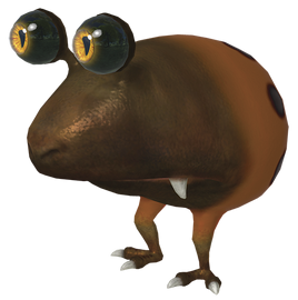 Oranger Punktkäfer