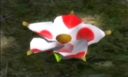 A red Queen Candypop Bud.