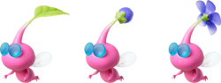 Three Winged Pikmin.