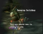 A Swooping Snitchbug in the Creature Montage.