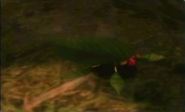 A Skitter Leaf in the Piklopedia in Pikmin 2