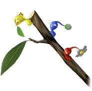 Artwork of Red, Yellow, and Blue Pikmin climbing a Climbing Stick.