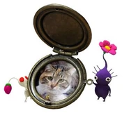 Whitepurple2.jpg (21 KB) Whitepurple2