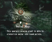 Pellet Posy This sparsely growing plant is able to crystallize nectar into round pellets.