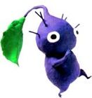 A Purple Pikmin Walking