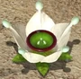 Ivory Candypop Bud in Pikmin 3