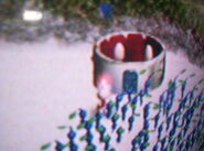The location of the Massage Machine in Pikmin