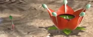 A Candypop Bud that produces Pikpik Carrot Pikmin