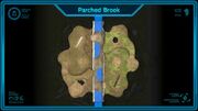 Parche Brook (Gamepad)