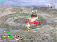 Pikmin2.5