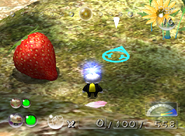 A close-up of the Sunseed Berry's location in Pikmin 2