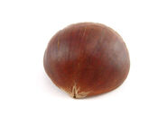 Real World Chestnuts