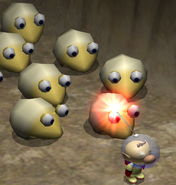 A group of Bulborb Larvae.