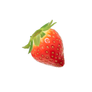 Pikmin 4 icon of the Sunseed Berry for the Treasure Catalog