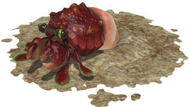 Einsiedlerkropf