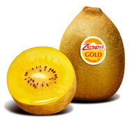 Real Golden Kiwi