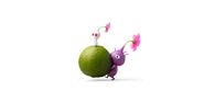 A Purple Pikmin carrying an unknown fruit that resembles a Zest Bomb, but is smaller.