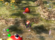 The Sunseed Berry, as seen in-game in Pikmin 2