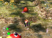 The Sunseed Berry, as seen in-game in Pikmin 2.