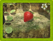An image of a Sunseed Berry in Pikmin 3, from the Japanese website
