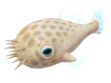Pricklepuff
