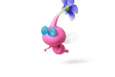 チャッピーの毛 ケチャッピー | ピクミンWiki | Fandom