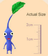 A Pikmin's actual size