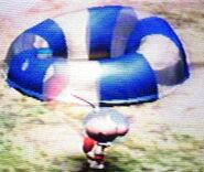 The location of the Space Float in Pikmin