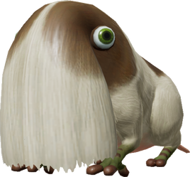 Bearded Amprat pikumin $