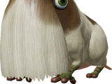 Bearded Amprat