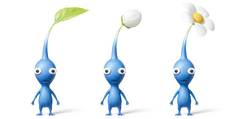 Three Blue Pikmin.
