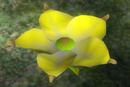 A Golden Candypop Bud as it appears in Pikmin and Pikmin 2