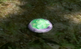-111Essence of DespairB