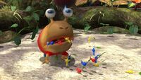 P3 Pikmin gefressen