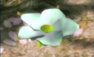 An Ivory Candypop Bud as it appears in Pikmin 2