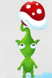 8DAB70CD-E214-4436-85BC-2594089FFED1.jpeg