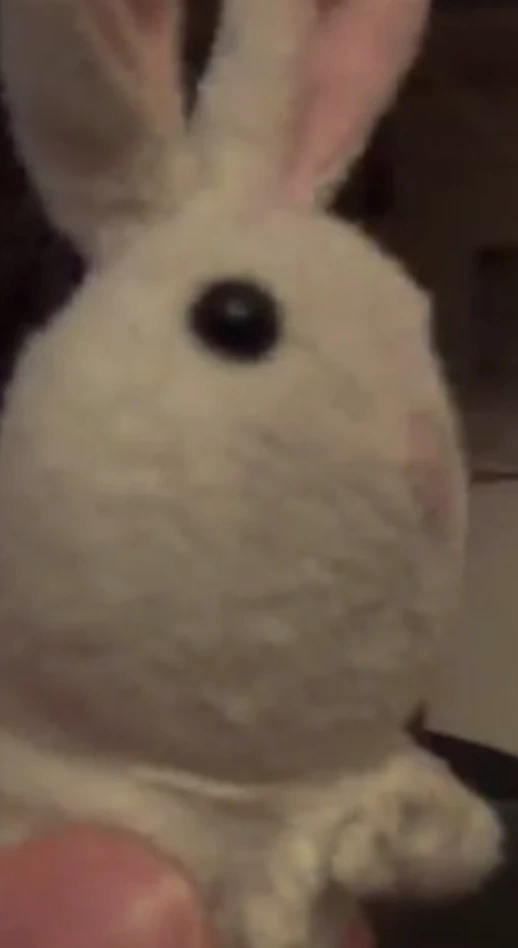 Easter | Pikminjake Wiki | Fandom