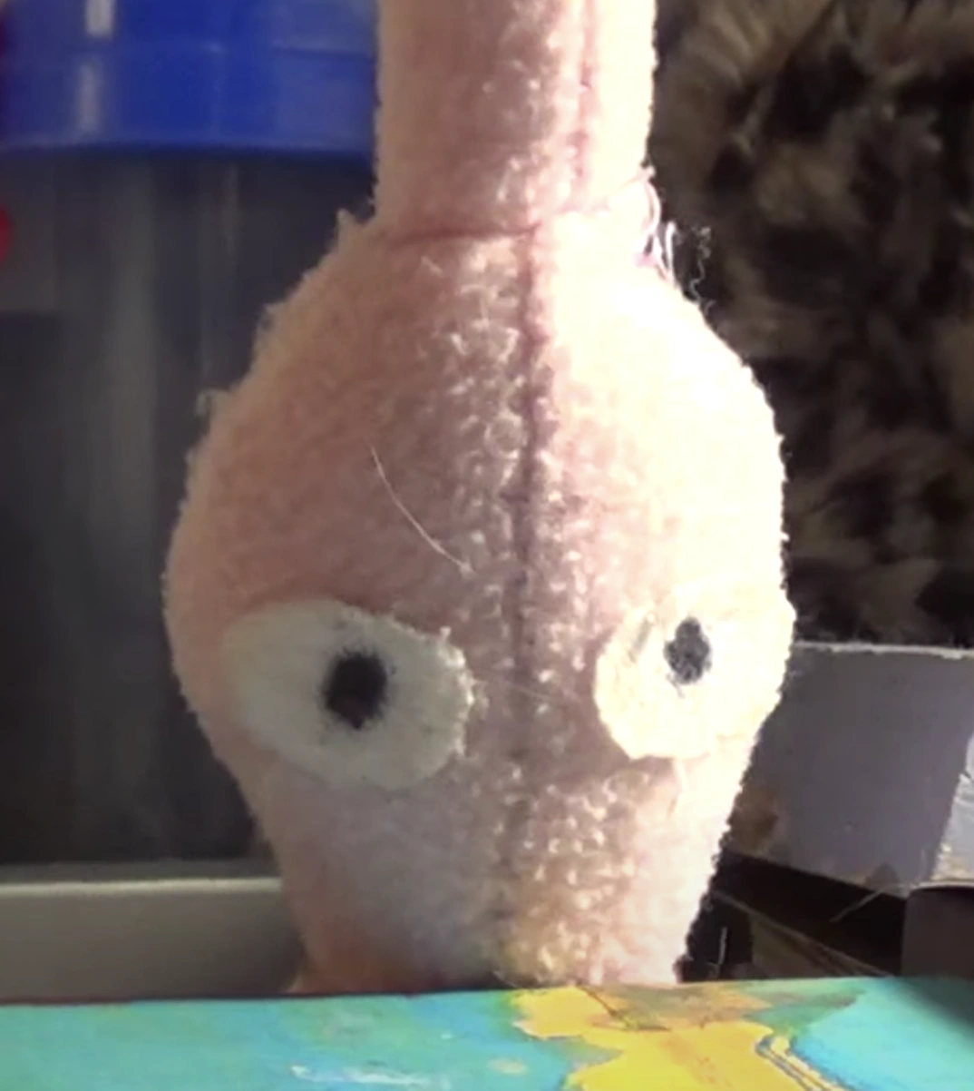 Blossom | Pikminjake Wiki | Fandom