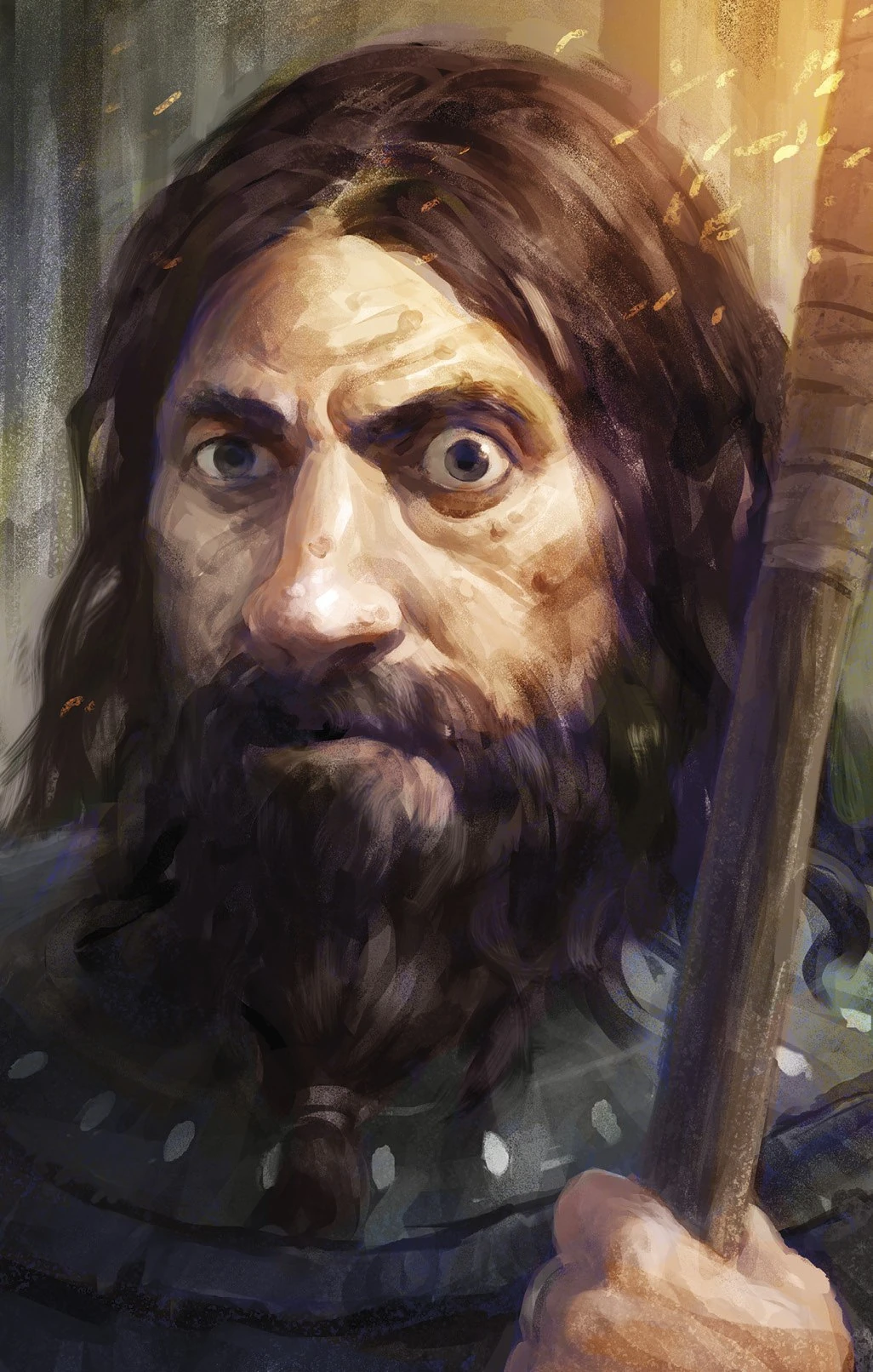 Стоик Pillars of Eternity Wiki Fandom