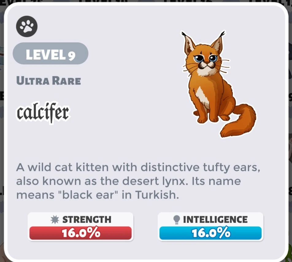 Pets Party In My Dorm Wiki Fandom