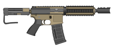 PMG Custom AR15.png