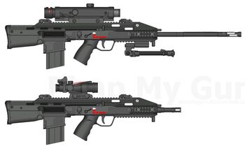 DMR Project