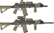 FAC AK-21h Carbine and Rifle