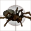 Actions:Lesser Slayers | Pinco's UI Wiki | Fandom