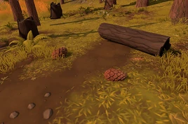 Glossary-Material-Grandcone