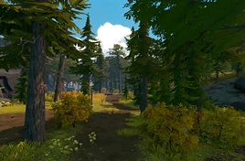 Glossary-Area-Wedgewoods