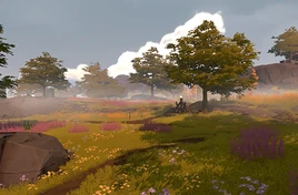 Glossary-Area-Sparse Fields