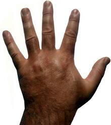 Mano.jpg