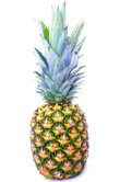Pineapple-13718940674QS.png