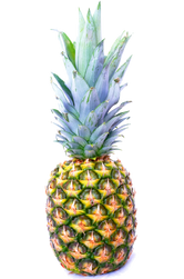 Pineapple-13718940674QS.png